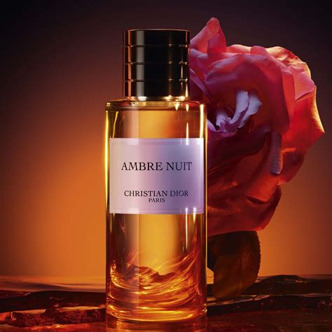 ambre nuit christian dior nz|christian dior perfume unisex.